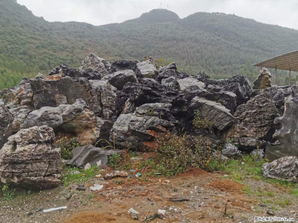 风景石、假山石大量有货，有需要的欢迎联系 - 新手上路 - 龙岩生活社区 - 龙岩28生活网 ly.28life.net