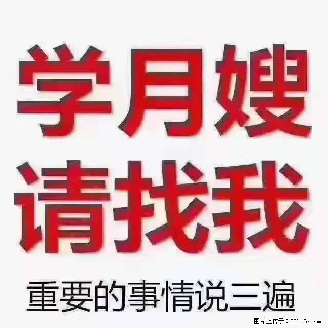 为什么要学习月嫂，育婴师？ - 其他广告 - 广告专区 - 龙岩分类信息 - 龙岩28生活网 ly.28life.net