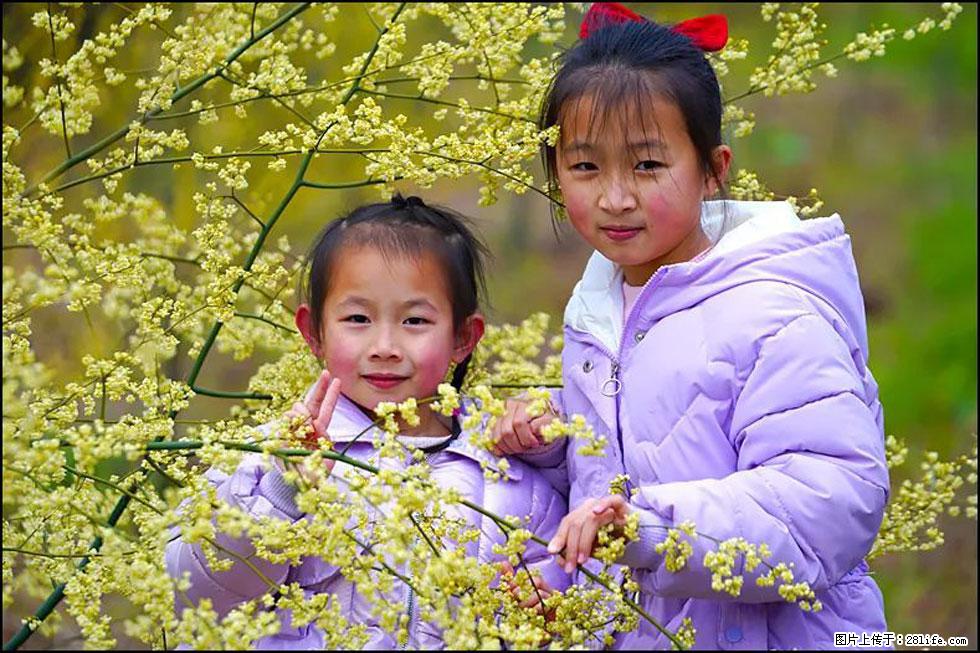 【春天，广西桂林灌阳县向您发出邀请！】米珠山前有片山苍子花在飘香 - 游山玩水 - 龙岩生活社区 - 龙岩28生活网 ly.28life.net