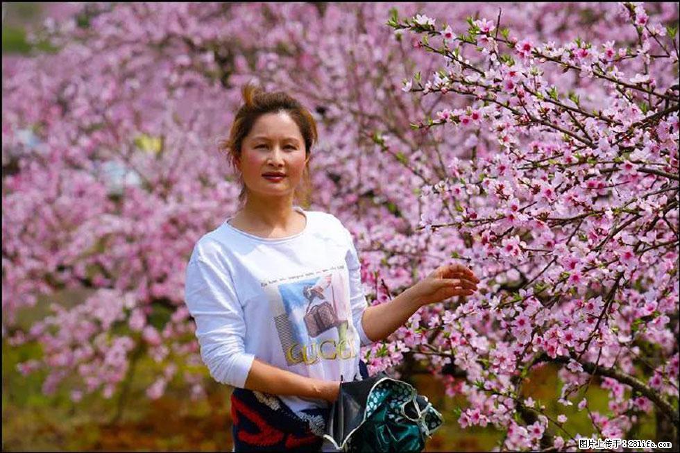 【春天,广西桂林灌阳县向您发出邀请!】官庄村有个醉美的桃花园 - 游山玩水 - 龙岩生活社区 - 龙岩28生活网 ly.28life.net