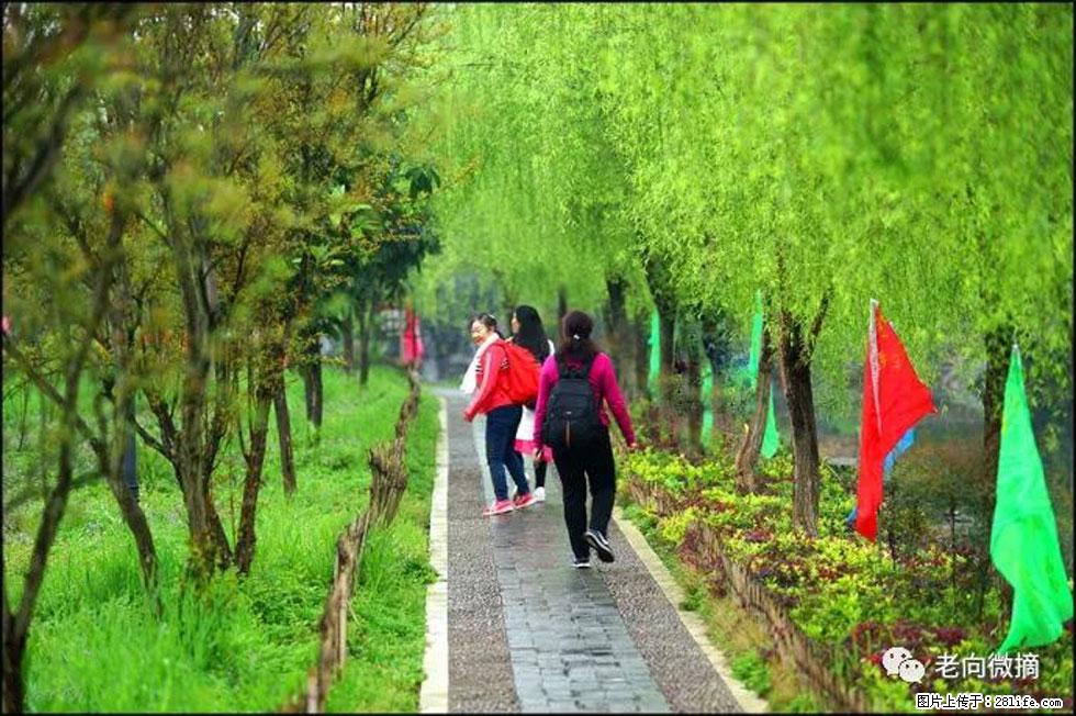 【春天，广西桂林灌阳县向您发出邀请！】江口老街又逢春 - 游山玩水 - 龙岩生活社区 - 龙岩28生活网 ly.28life.net