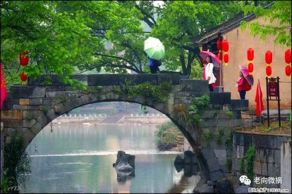 【春天，广西桂林灌阳县向您发出邀请！】江口老街又逢春 - 游山玩水 - 龙岩生活社区 - 龙岩28生活网 ly.28life.net