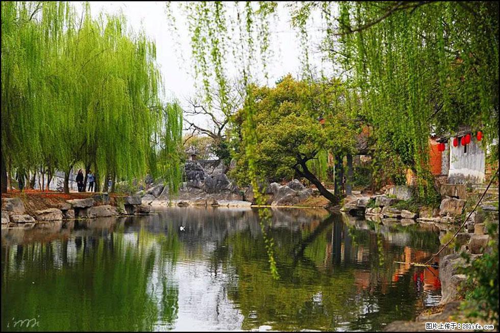【春天，广西桂林灌阳县向您发出邀请！】江口老街又逢春 - 游山玩水 - 龙岩生活社区 - 龙岩28生活网 ly.28life.net