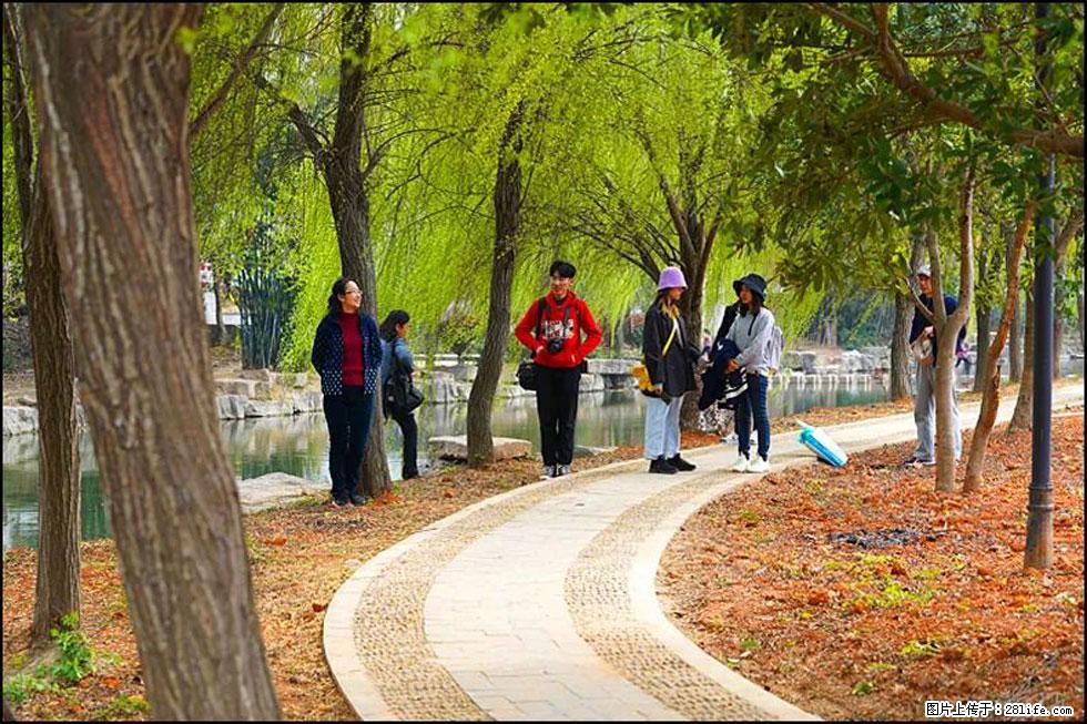 【春天，广西桂林灌阳县向您发出邀请！】江口老街又逢春 - 游山玩水 - 龙岩生活社区 - 龙岩28生活网 ly.28life.net