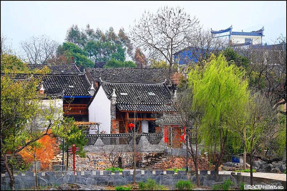【春天，广西桂林灌阳县向您发出邀请！】江口老街又逢春 - 游山玩水 - 龙岩生活社区 - 龙岩28生活网 ly.28life.net