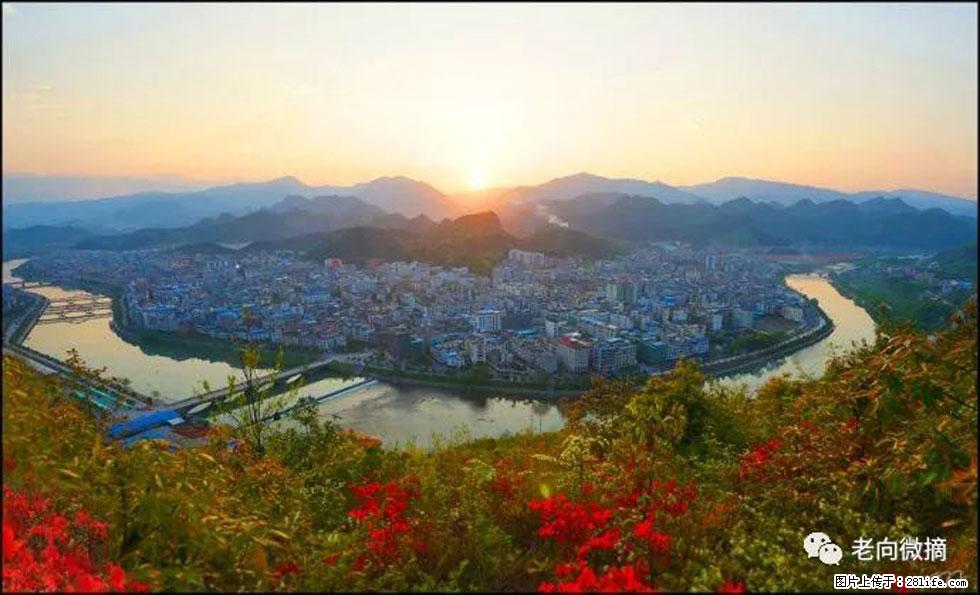 【春天，广西桂林灌阳县向您发出邀请！】登麒麟山，相约映山红 - 游山玩水 - 龙岩生活社区 - 龙岩28生活网 ly.28life.net