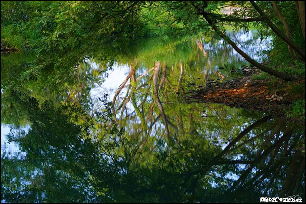 【春天,广西桂林灌阳县向您发出邀请!】熊家寨湿地公园 - 游山玩水 - 龙岩生活社区 - 龙岩28生活网 ly.28life.net