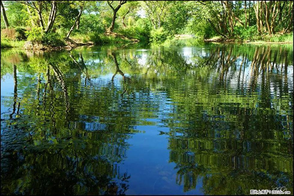 【春天,广西桂林灌阳县向您发出邀请!】熊家寨湿地公园 - 游山玩水 - 龙岩生活社区 - 龙岩28生活网 ly.28life.net