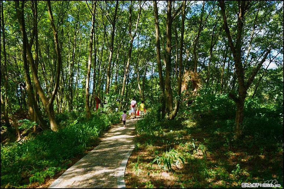 【春天,广西桂林灌阳县向您发出邀请!】熊家寨湿地公园 - 游山玩水 - 龙岩生活社区 - 龙岩28生活网 ly.28life.net