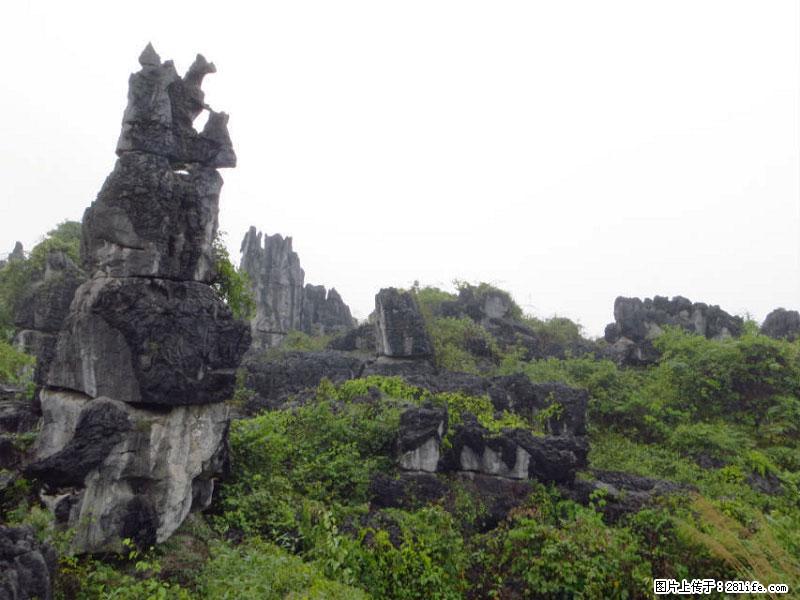 桂林旅游名城景点：灌阳文市石林 - 游山玩水 - 龙岩生活社区 - 龙岩28生活网 ly.28life.net
