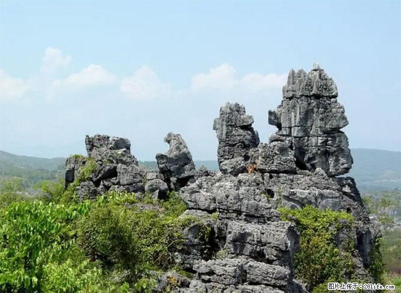 桂林旅游名城景点：灌阳文市石林 - 游山玩水 - 龙岩生活社区 - 龙岩28生活网 ly.28life.net