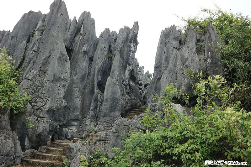 桂林旅游名城景点：灌阳文市石林 - 游山玩水 - 龙岩生活社区 - 龙岩28生活网 ly.28life.net
