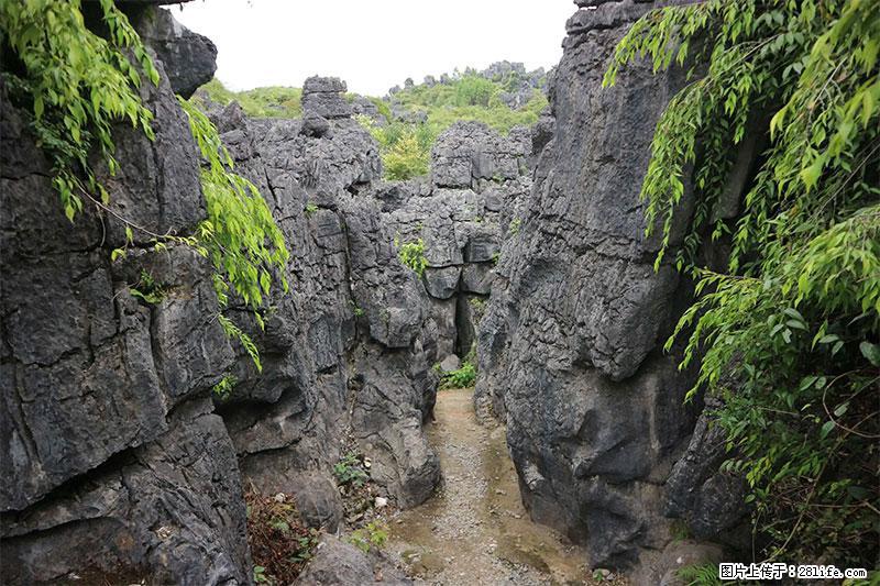 桂林旅游名城景点：灌阳文市石林 - 游山玩水 - 龙岩生活社区 - 龙岩28生活网 ly.28life.net