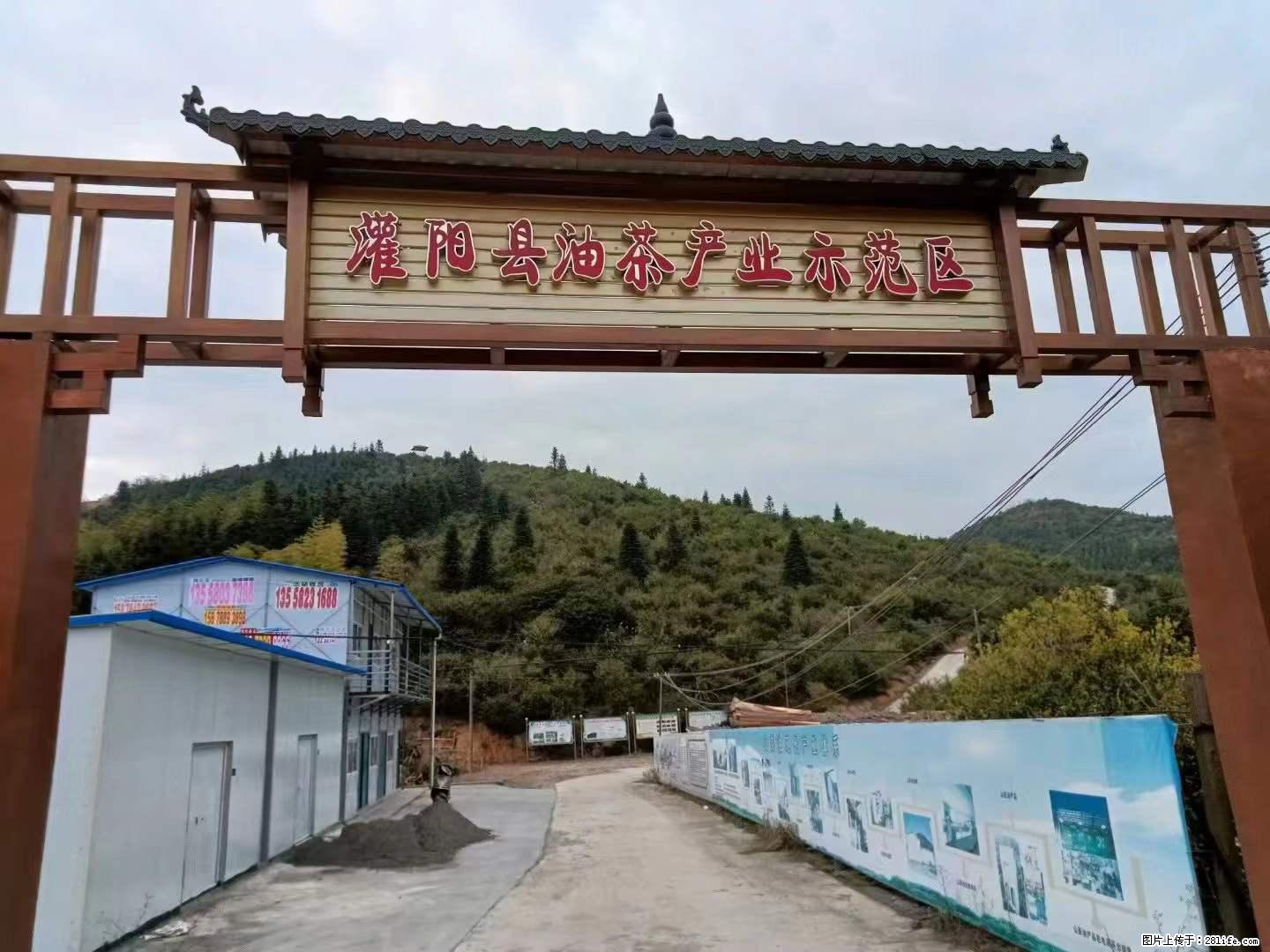 【灌阳县油茶产业示范区】一个有着充实的精神生活的人，对待身外之物自会有一种淡泊的态度 - 美食天地 - 龙岩生活社区 - 龙岩28生活网 ly.28life.net