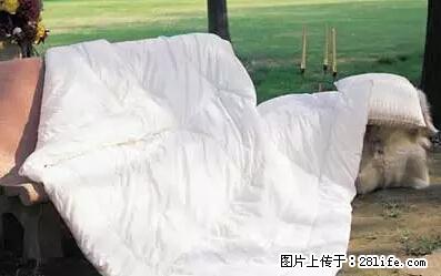 被子有异味？只要这样做，比晒太阳还强100倍！ - 家居生活 - 龙岩生活社区 - 龙岩28生活网 ly.28life.net