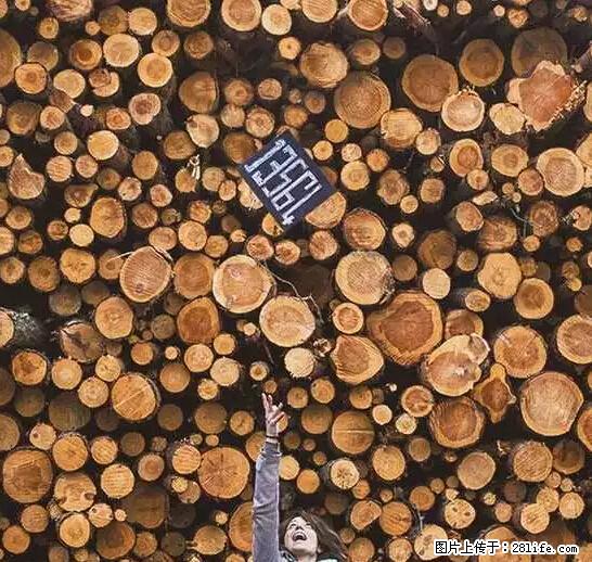 辞掉工作周游世界？现在他们在洗厕所…… - 游山玩水 - 龙岩生活社区 - 龙岩28生活网 ly.28life.net