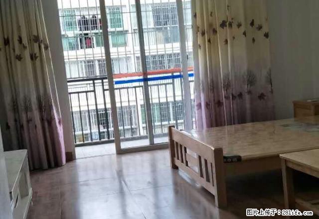 电梯房 龙腾星城 精品公寓 配家电家具 仅租800 - 房屋出租 - 房屋租售 - 龙岩分类信息 - 龙岩28生活网 ly.28life.net