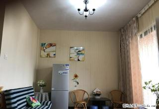 莲东 电梯高层 全新家电单身公寓 家私齐全 （秒杀） - 龙岩28生活网 ly.28life.net