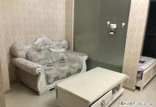 南城 阳光充足 清华御景欧式精装单身公寓 拎包（秒） - 龙岩28生活网 ly.28life.net
