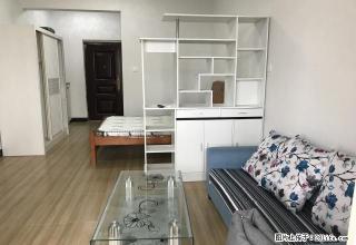 莲东 电梯高层 全新家电单身公寓 家私齐全 （秒杀） - 龙岩28生活网 ly.28life.net