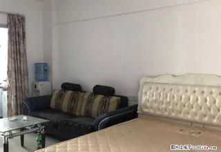 莲东 舒适小区 雍华名苑单身公寓 拎包入住 朝南 - 龙岩28生活网 ly.28life.net