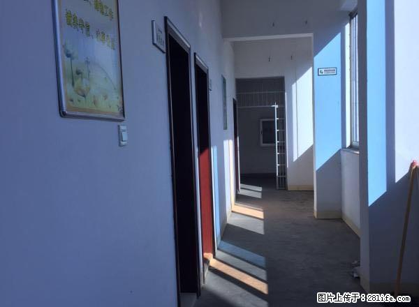 凤凰阁 整栋房子出租 共2300平米 一栋七层 可分可合 - 房屋出租 - 房屋租售 - 龙岩分类信息 - 龙岩28生活网 ly.28life.net
