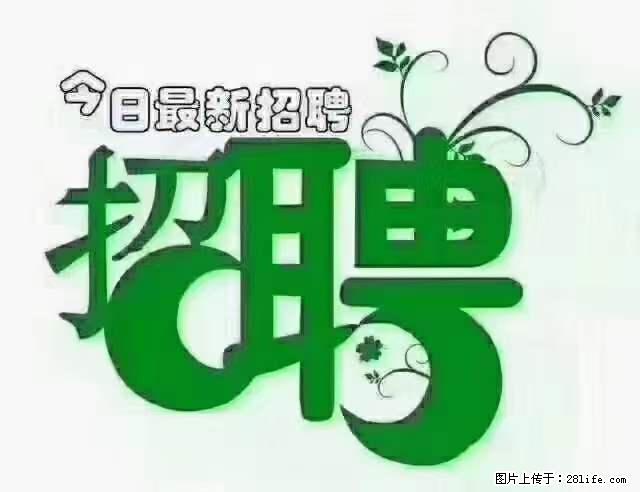 【招聘摄像师】待遇:试用期6000元/月,转正7000元/月+五险一金+餐补+节日福利+奖金 - 职场交流 - 龙岩生活社区 - 龙岩28生活网 ly.28life.net