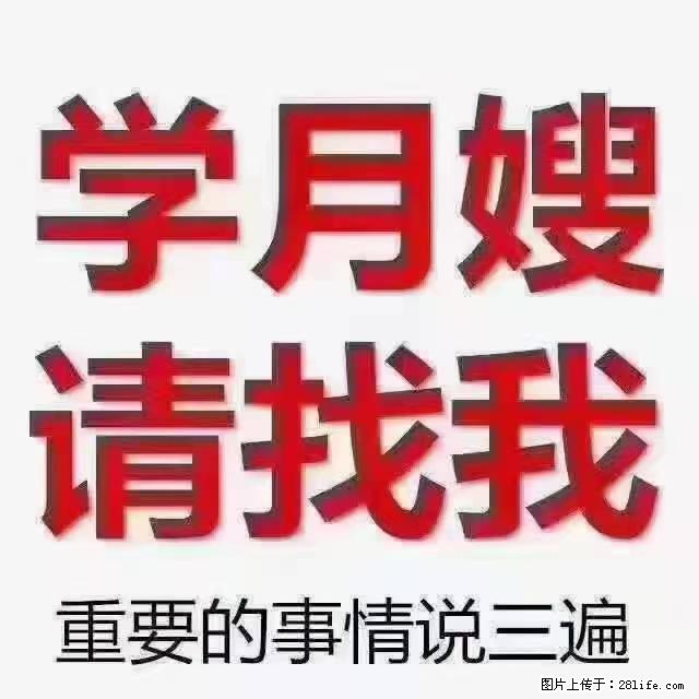 【招聘】月嫂，上海徐汇区 - 职场交流 - 龙岩生活社区 - 龙岩28生活网 ly.28life.net