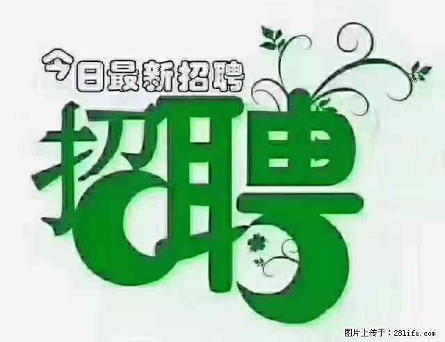 上海青浦区招仓管 - 职场交流 - 龙岩生活社区 - 龙岩28生活网 ly.28life.net