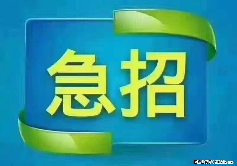招出纳8000元/月，无证可以，要有相关经验，上海五险一金，包住，包工作餐，做六休一。 - 职场交流 - 龙岩生活社区 - 龙岩28生活网 ly.28life.net