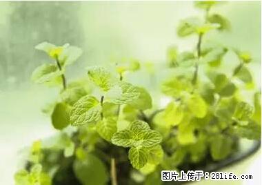晕车、脚气、牙齿变黄、皮肤粗糙？学会这些三分钟搞定！ - 龙岩生活资讯 - 龙岩28生活网 ly.28life.net