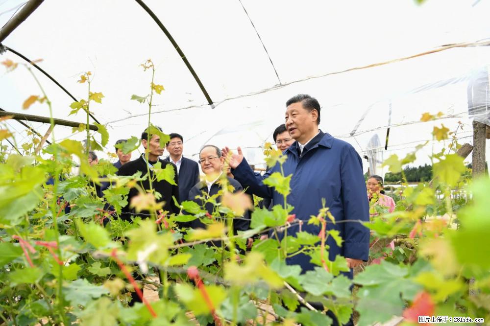 习近平赴广西考察调研 - 龙岩生活资讯 - 龙岩28生活网 ly.28life.net
