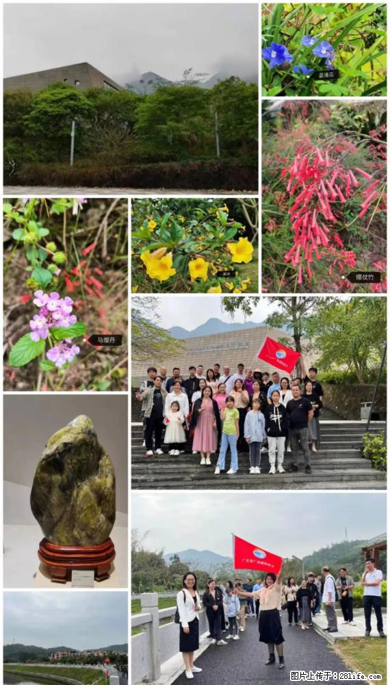 “粤灌文化 美好生活”油茶文化主题活动在广东深圳成功举办 - 龙岩生活资讯 - 龙岩28生活网 ly.28life.net
