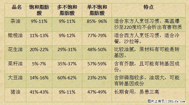 揭秘茶油的5大核心营养成分！被称为人体健康的“守护盾”！ - 龙岩生活资讯 - 龙岩28生活网 ly.28life.net