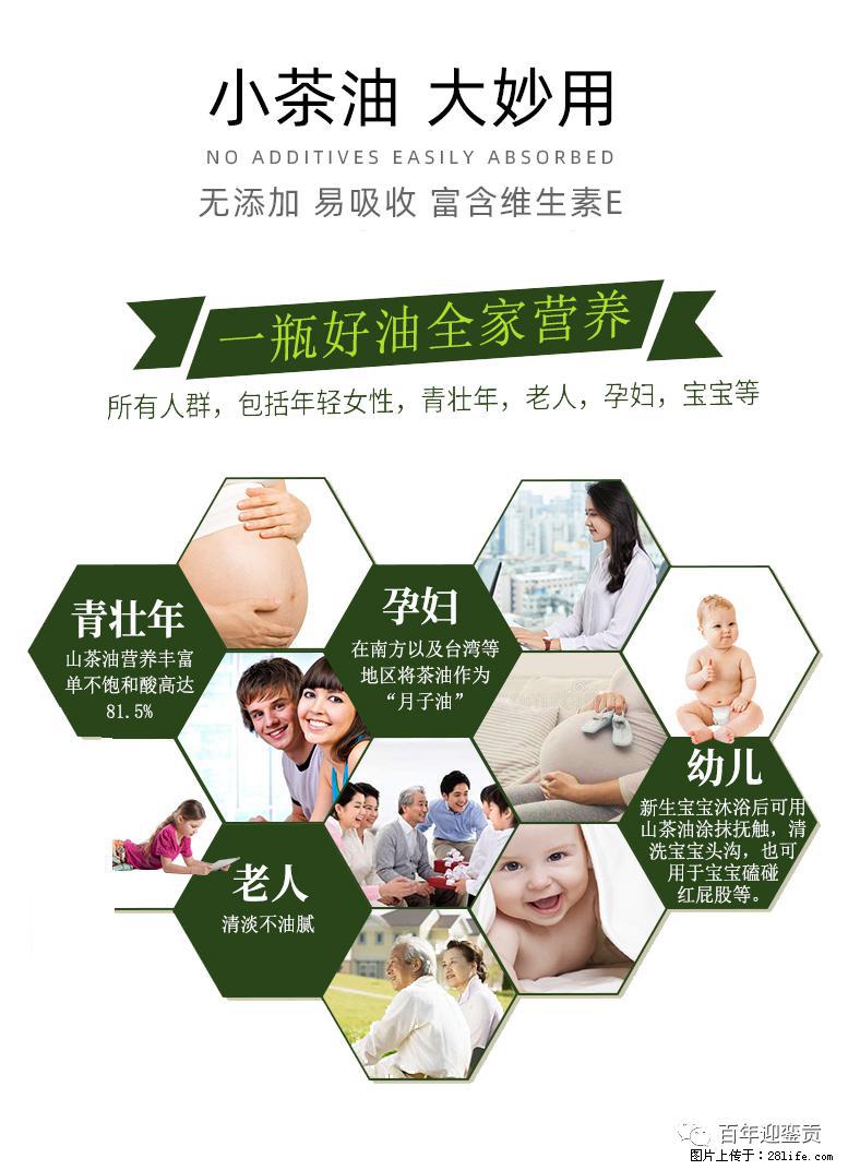 世界没有真相，只有认知，最好的食用油是中国的山茶油！ - 龙岩生活资讯 - 龙岩28生活网 ly.28life.net