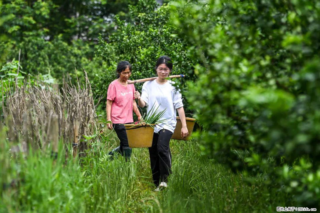 全网追的“扁担女孩”，找了一份暑假工，时薪12元 - 龙岩生活资讯 - 龙岩28生活网 ly.28life.net