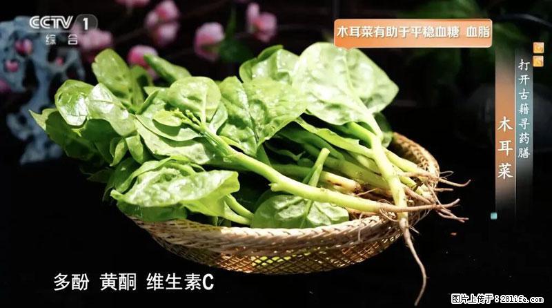 比牛奶补钙还厉害！凉血解毒、稳血糖...这菜冬天必吃，很多人却当草 - 龙岩生活资讯 - 龙岩28生活网 ly.28life.net