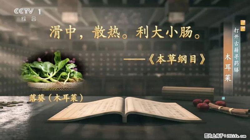 比牛奶补钙还厉害！凉血解毒、稳血糖...这菜冬天必吃，很多人却当草 - 龙岩生活资讯 - 龙岩28生活网 ly.28life.net