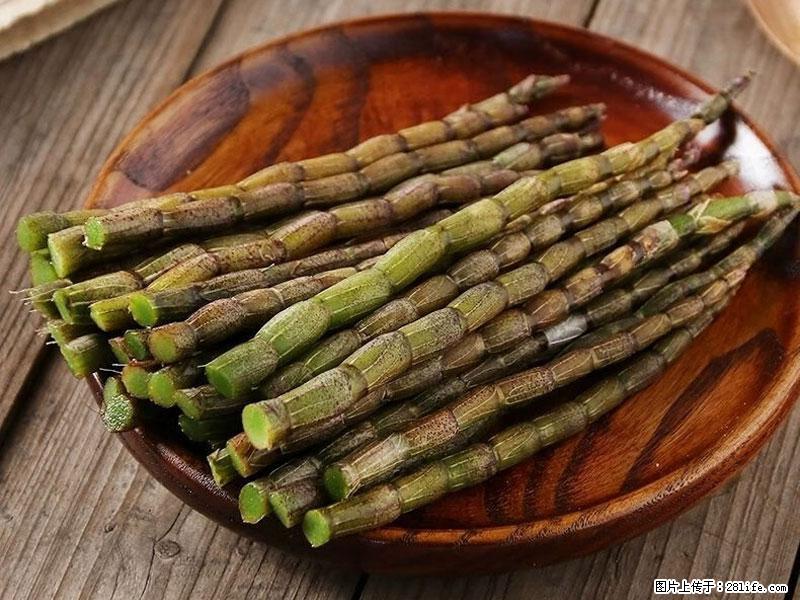 铁皮石斛的作用与功能主治 - 龙岩生活资讯 - 龙岩28生活网 ly.28life.net