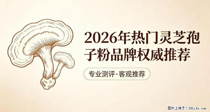 灵芝孢子粉含量越高越有效？2026 年七款热门品牌深度实测，肠胃敏感者避坑指南 - 龙岩生活资讯 - 龙岩28生活网 ly.28life.net